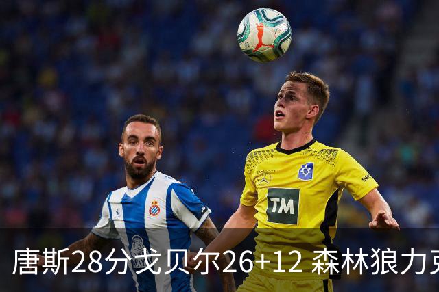 唐斯28分戈贝尔26+12 森林狼力克黄蜂4连胜